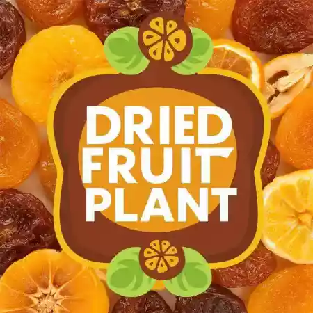 Premium sun dried cashews almonds and raisins displayed on traditional wooden tray at Maharashtra farm