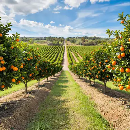 Dedicated composting area with piles of fruit waste peels and organic material decomposing into natural farm fertilizer