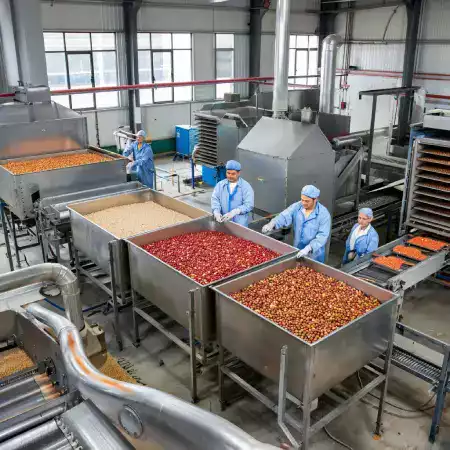 Quality control team washing and manually sorting fresh fruits on stainless steel tables at processing facility